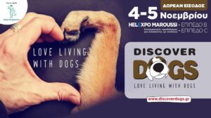 Discover Dogs Festival
