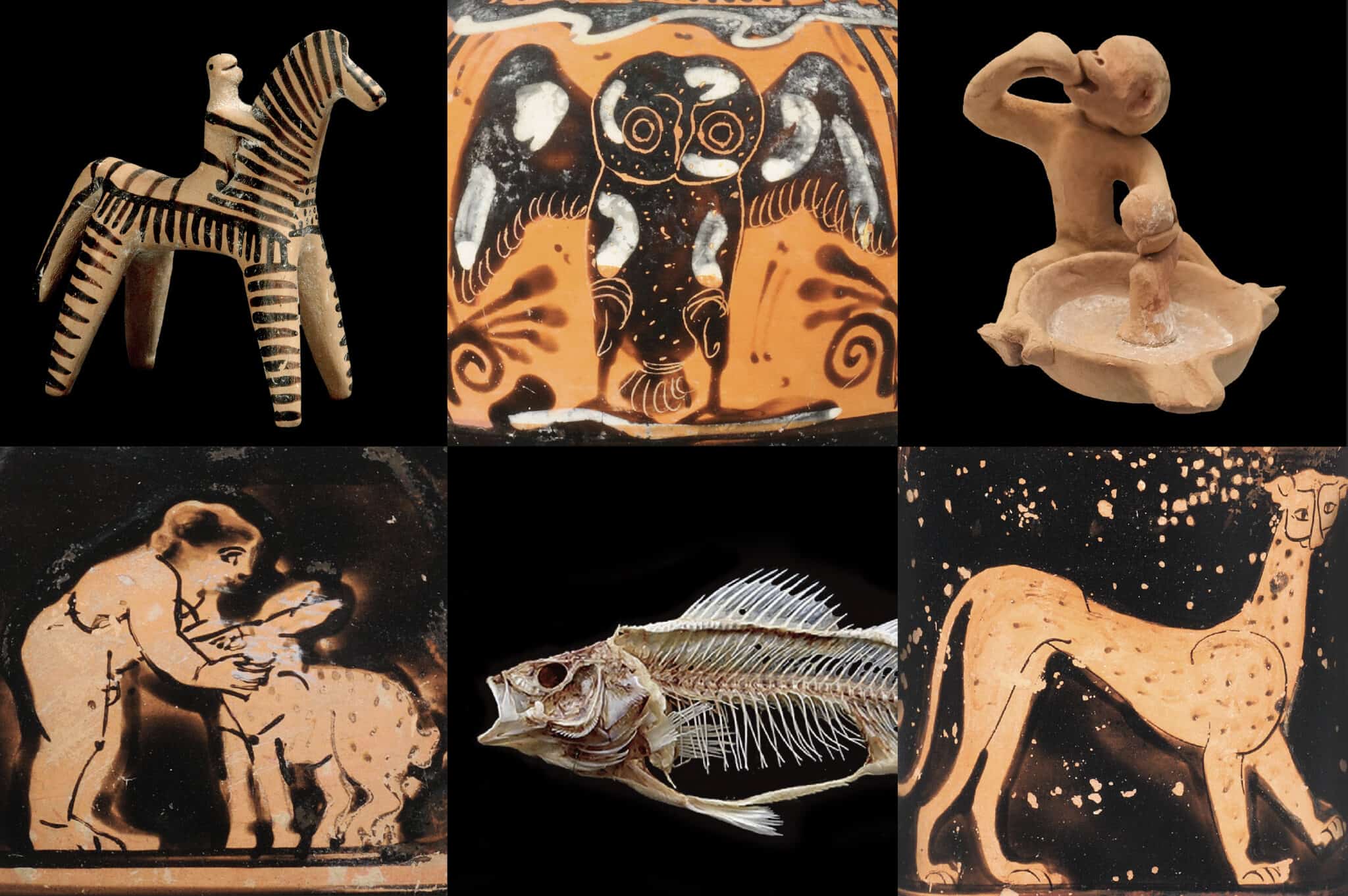 Άνθρωποι και ζώα στην αρχαιότητα