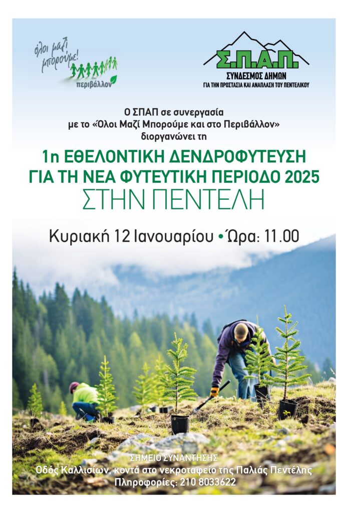 Δενδροφύτευση στην Πεντέλη