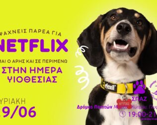 Υιοθεσία σκύλων στη Γλυφάδα