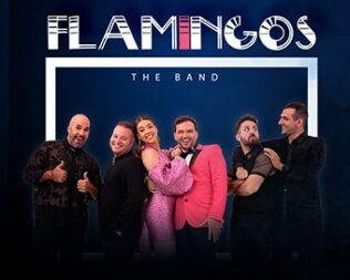 Flamingos the Band στον Μαραθώνα