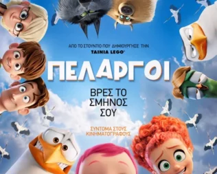 Πελαργοί στην Μεταμόρφωση