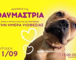 Ημέρα Υιοθεσίας στην Γλυφάδα