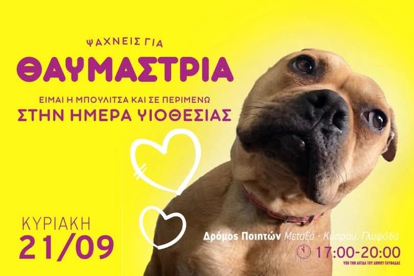 Ημέρα Υιοθεσίας στην Γλυφάδα