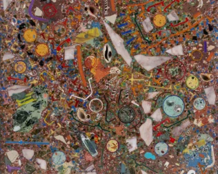 Marine Caves and Benthic Terrazzo στο ΚΠΙΣΝ