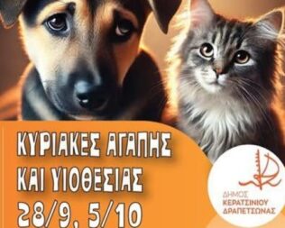 Κυριακές Υιοθεσίας στα Λιπάσματα