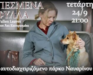 Πεσμένα φύλλα στο πάρκο Ναυαρίνου