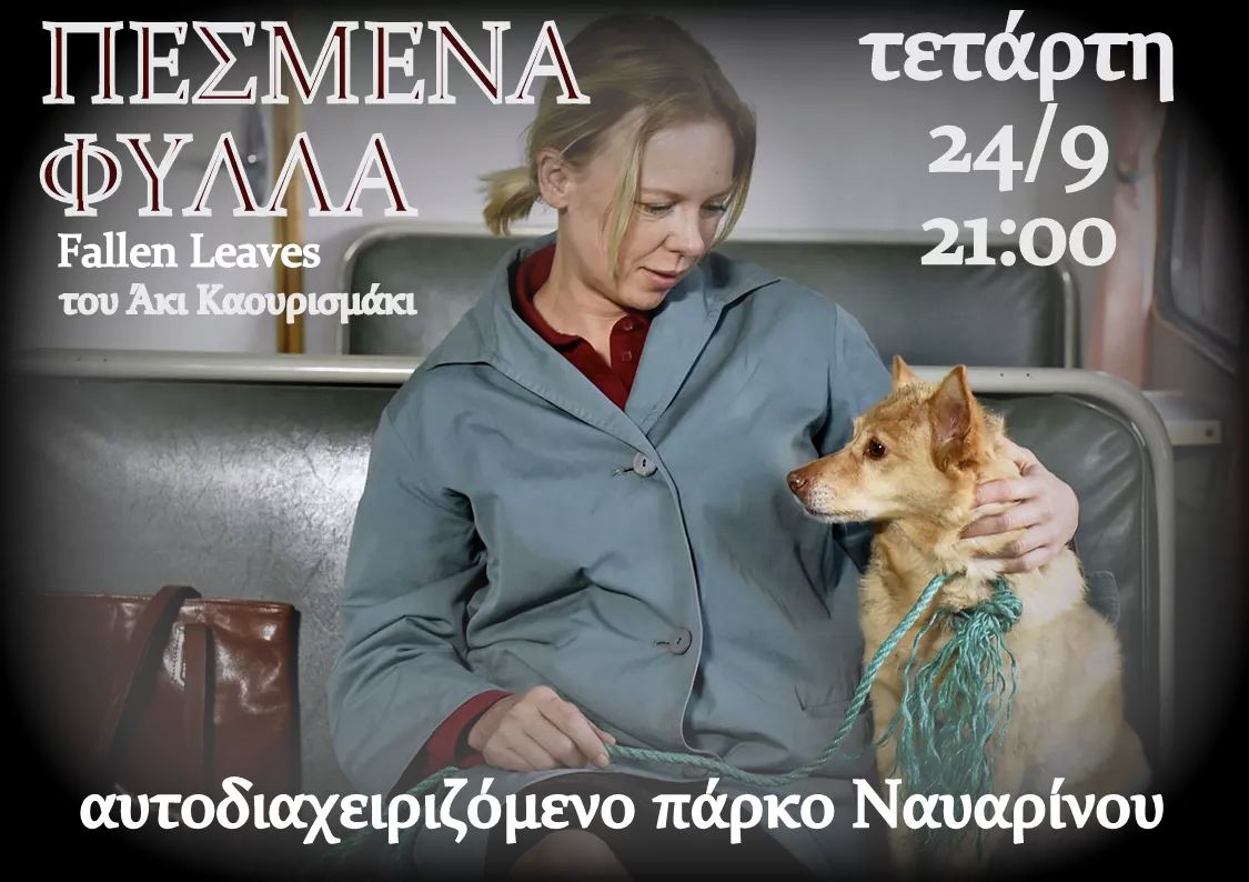 Πεσμένα φύλλα στο πάρκο Ναυαρίνου
