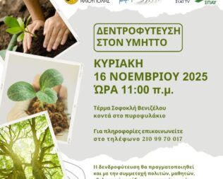 Δενδροφύτευση στην Ηλιούπολη