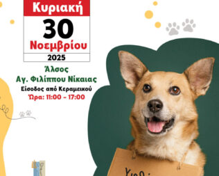 Υιοθέτησε! Μην αγοράζεις! στη Νίκαια