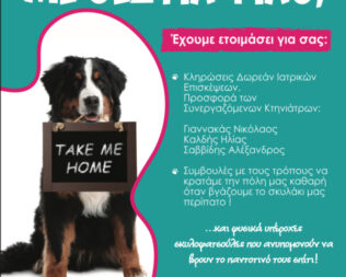 Γιορτή Υιοθεσίας Σκύλων στη Βούλα
