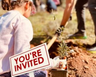 Δενδροφύτευση στον Καρέα