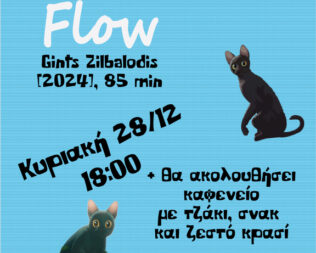 Προβολή Flow στο Υπόστεγο