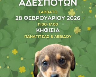 Γιορτή Υιοθεσίας Αδέσποτων Ζώων στην Κηφισιά