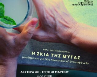 Η σκιά της μύγας στον Ασπρόπυργο