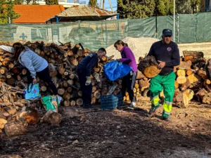 Δωρεάν διανομή καυσόξυλων