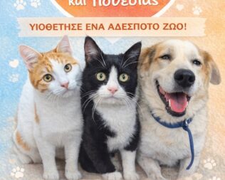 Κυριακή Αγάπης & Υιοθεσίας στην Δραπετσώνα