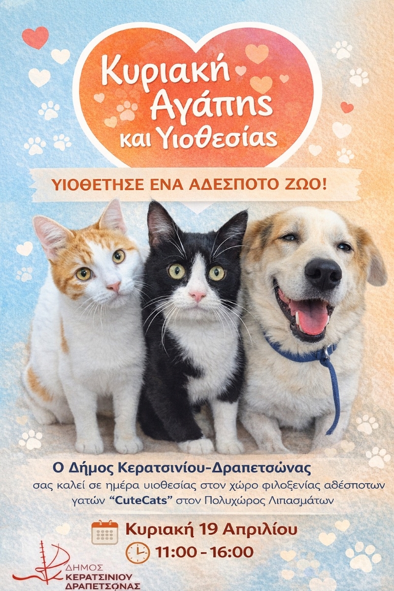 Κυριακή Αγάπης & Υιοθεσίας στην Δραπετσώνα