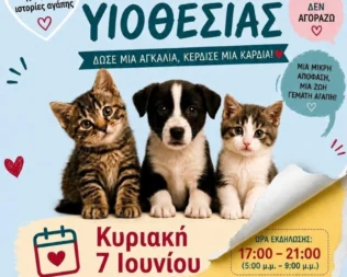 Ημέρα Υιοθεσίας στα Λιπάσματα