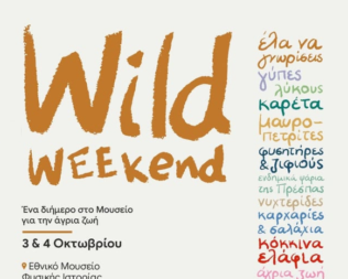 Wild Weekend στο Μουσείο Φυσικής Ιστορίας Γουλανδρή