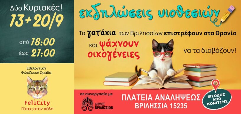 Τα γατάκια των Βριλησσίων επιστρέφουν στα θρανία