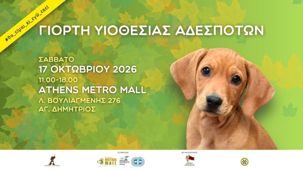 Γιορτή Υιοθεσίας Αδέσποτων στον Άγιο Δημήτριο