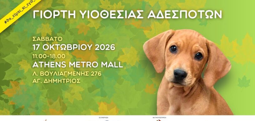 Γιορτή Υιοθεσίας Αδέσποτων στον Άγιο Δημήτριο