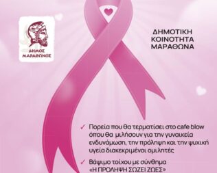 Pink the Marathon