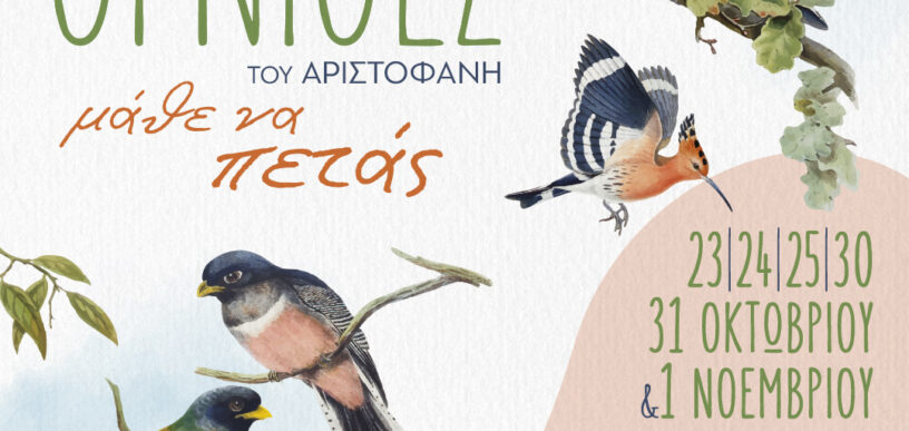 Όρνιθες στον Άγιο Δημήτριο